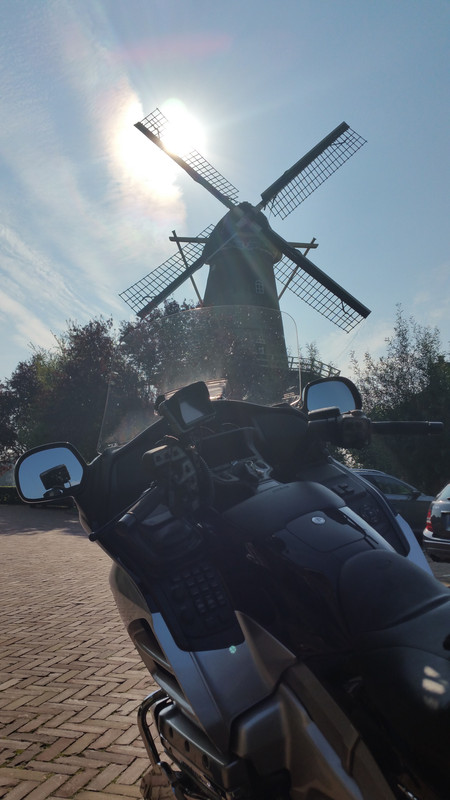 N Pieter, Den Arend 01 Bergambacht 06-10-2018