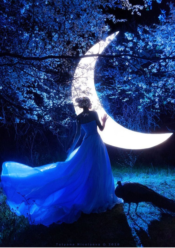 IMG_٢٠٢١٠٦٢١_١٩٤٢٠٨