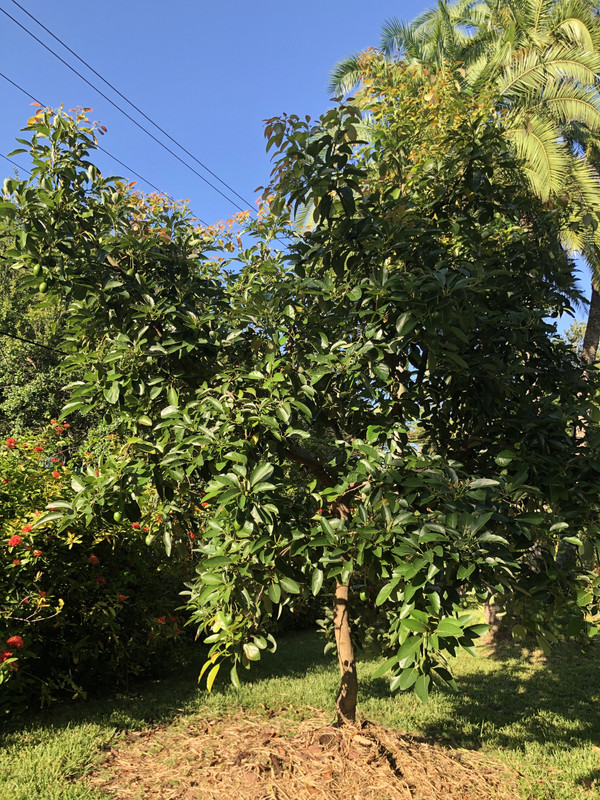 45412EAF-B24E-4B09-BC98-B43A5CE57080