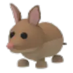 Bandicoot