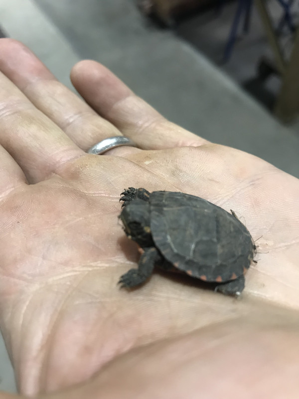 5104A4E7-1C26-4BDC-B4C8-3D92A06B2123