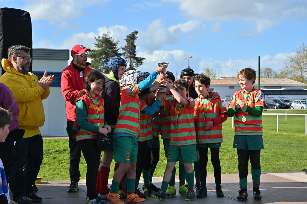 dsc-1771-55181699595-l