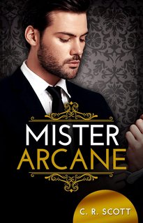 C. R. Scott - Romanticismo d'ufficio 11. Mister Arcane (2023)