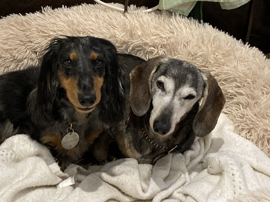 [Image: IMG-3947.jpg]