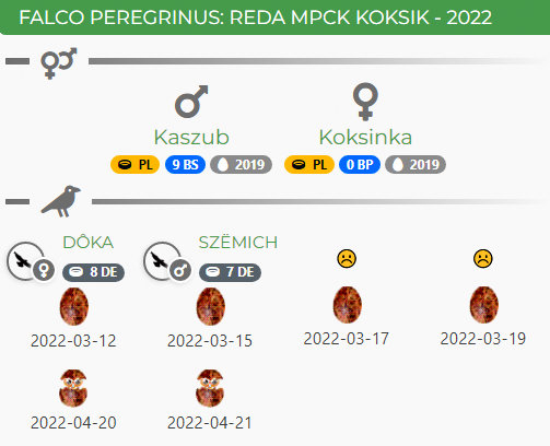 Reda - MPCK Koksik Przechwytywanie-w-trybie-pe-noekranowym-10-05-2022-224415