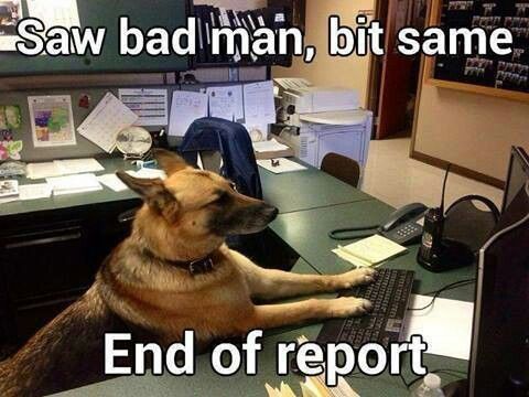 Dog-Report