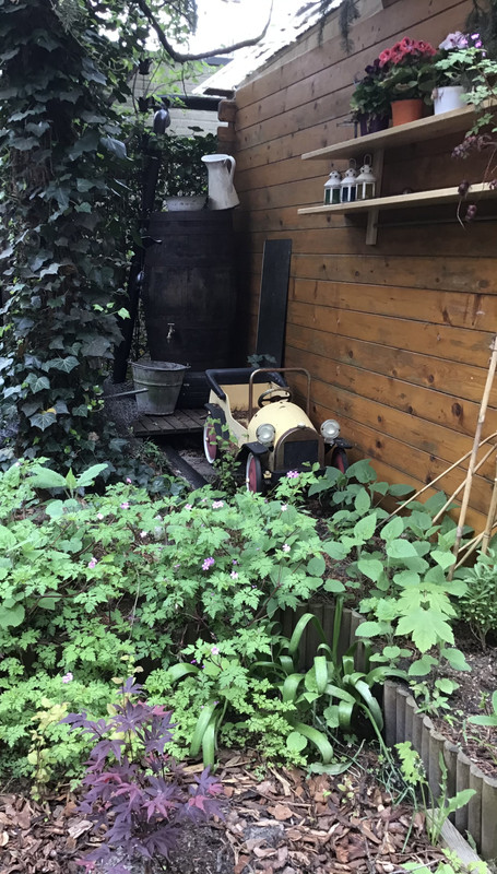 4C70BE80-6C52-44A5-8093-3D46828E8CE0