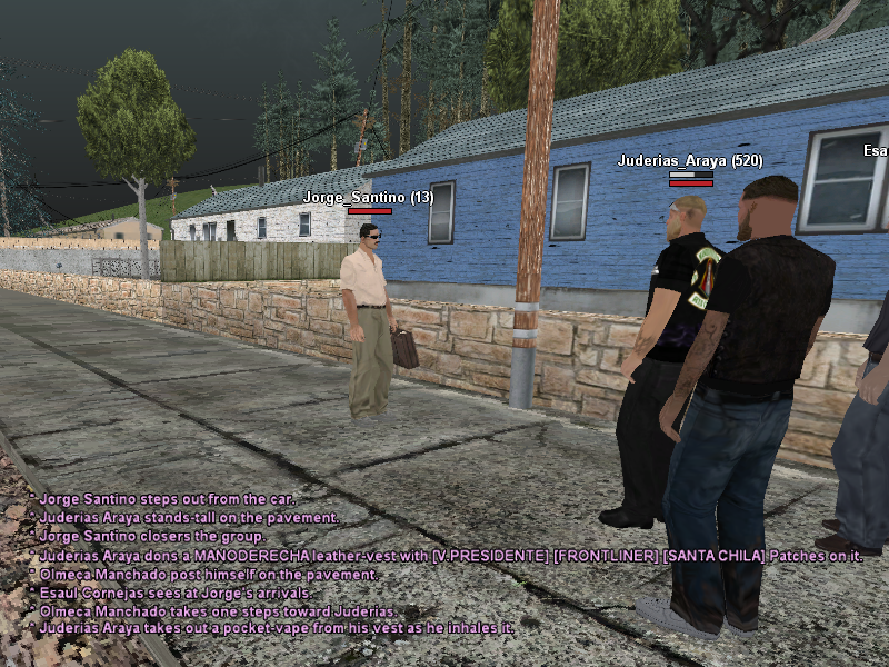 SSRoleplay321.png