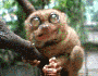 https://i.postimg.cc/KzDjMTj5/496713842.gif