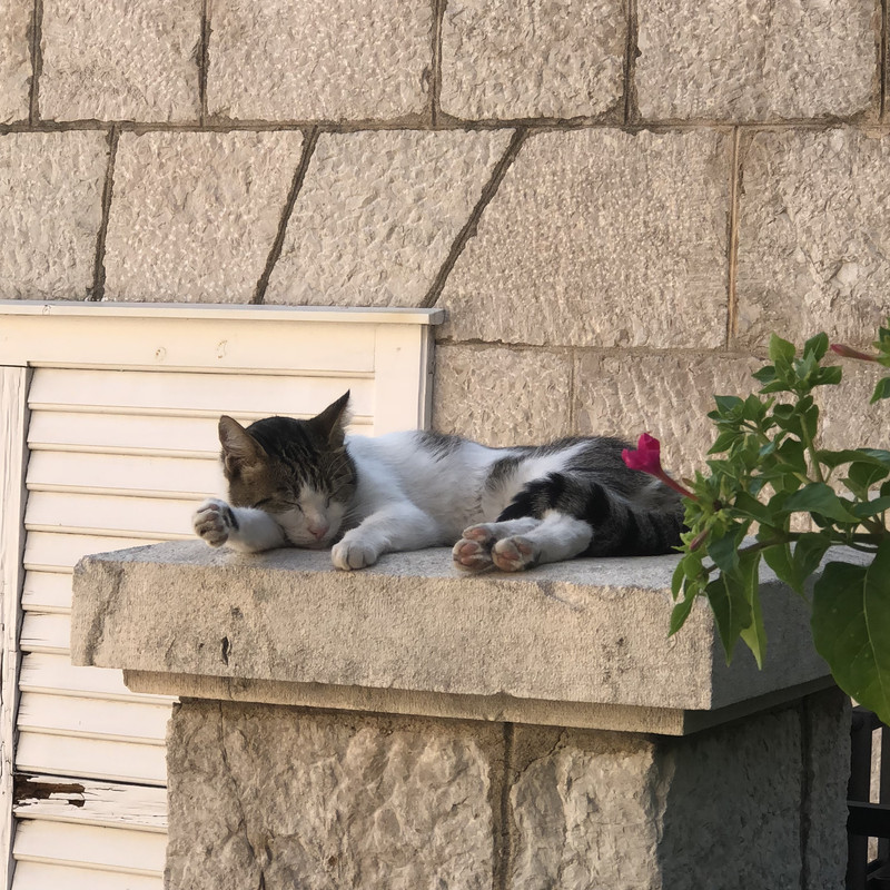 8A70D711-7795-46AD-89B0-9A785FDC92FB