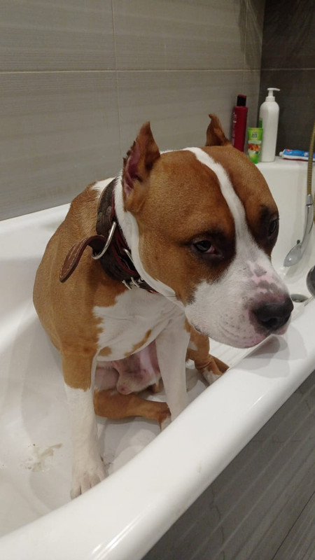 92D8C961-7114-4ADD-9365-57CFFD84F265