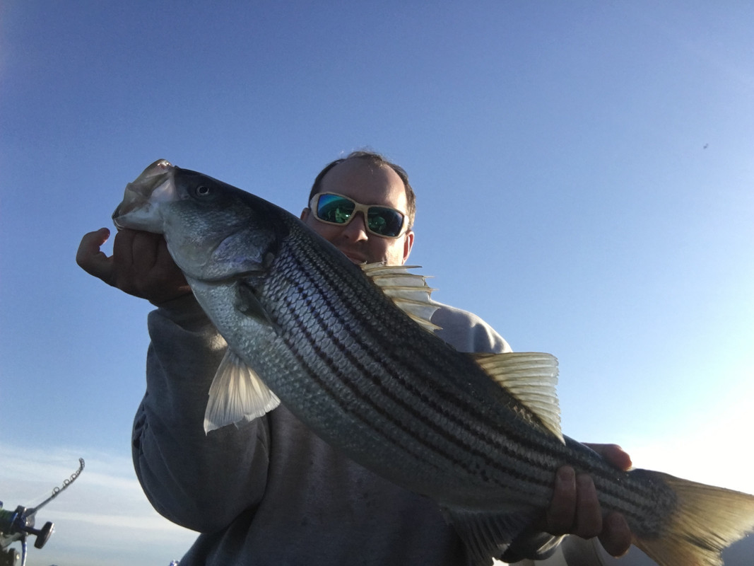 D3F8454E-66CE-40EA-BE1E-8DB739C4A9D2