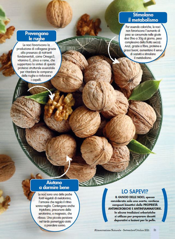 Alim Nat Set-Ott 2025 (4)