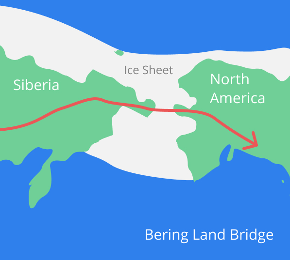 The Bering Land Bridge Rishabh Tatiraju