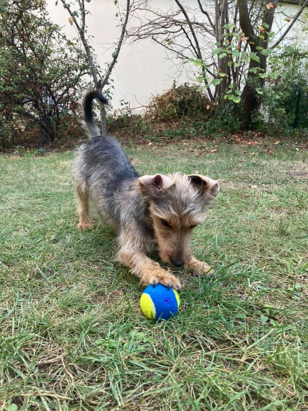 [Image: 120072343-10207995876730366-2752068954519574291-n.jpg]