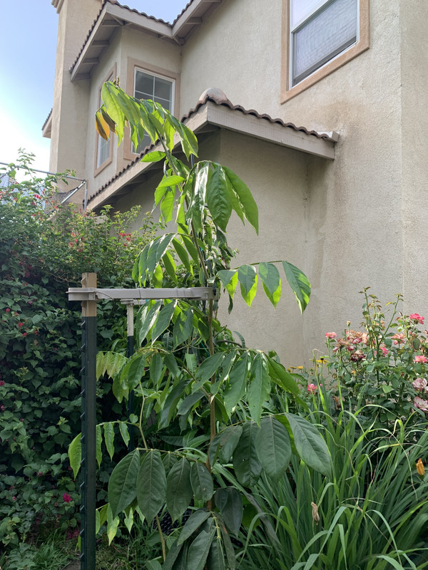 4CFDCE84-7330-4555-955C-FCF39FC8B71F