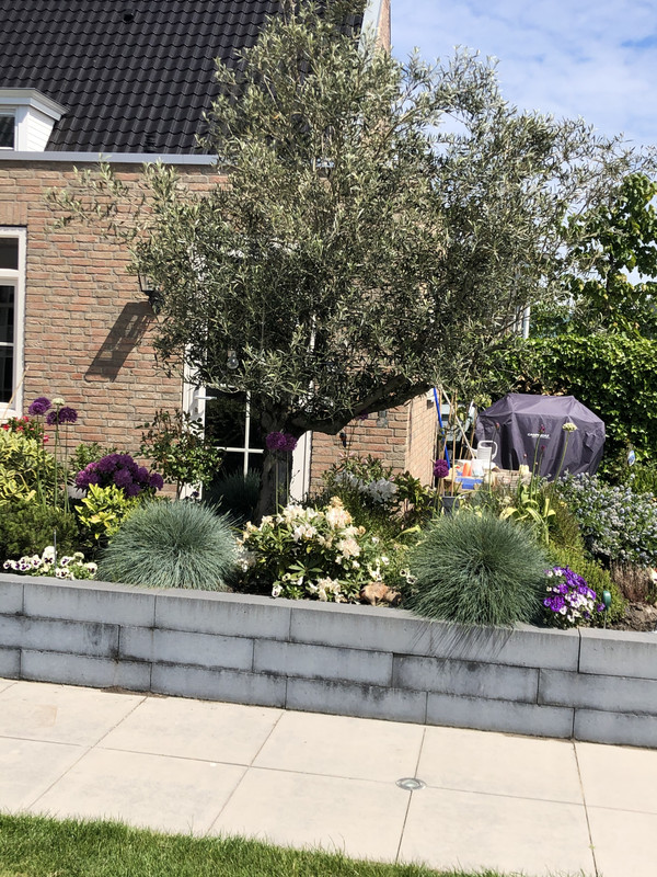 599C0F95-E639-482D-AD02-E98A6B1E2077