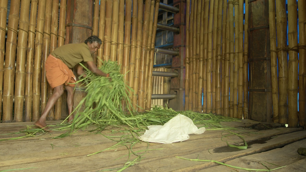 vlcsnap-2022-12-08-09h46m18s048