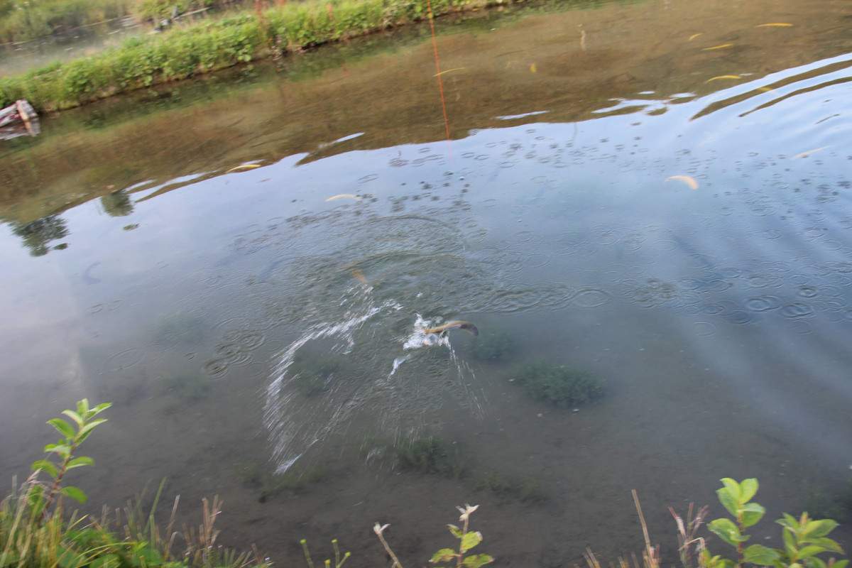 первая рыбалка 045