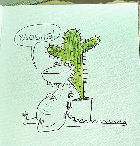 image.jpg
