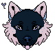 Happy-Wolf-HS-starwolfs-WPG-3.png