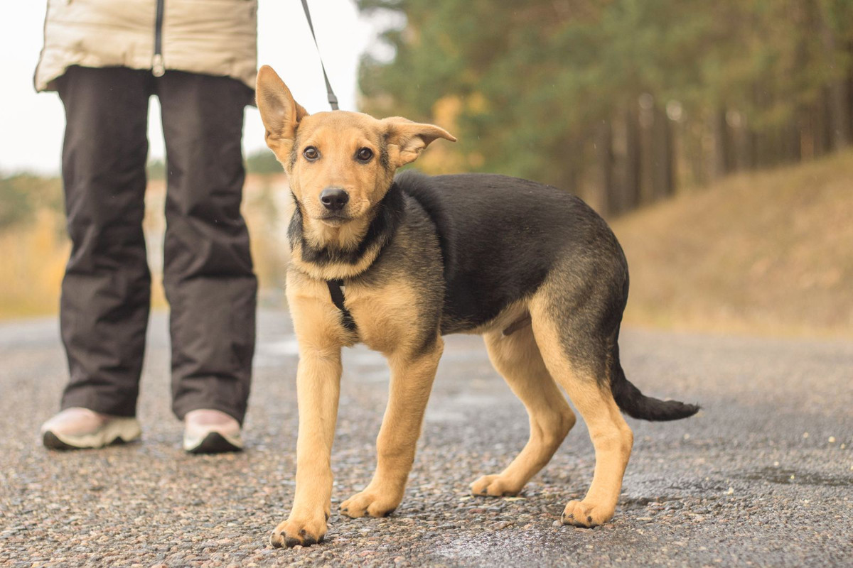 изображение_viber_2022-01-10_11-25-28-756