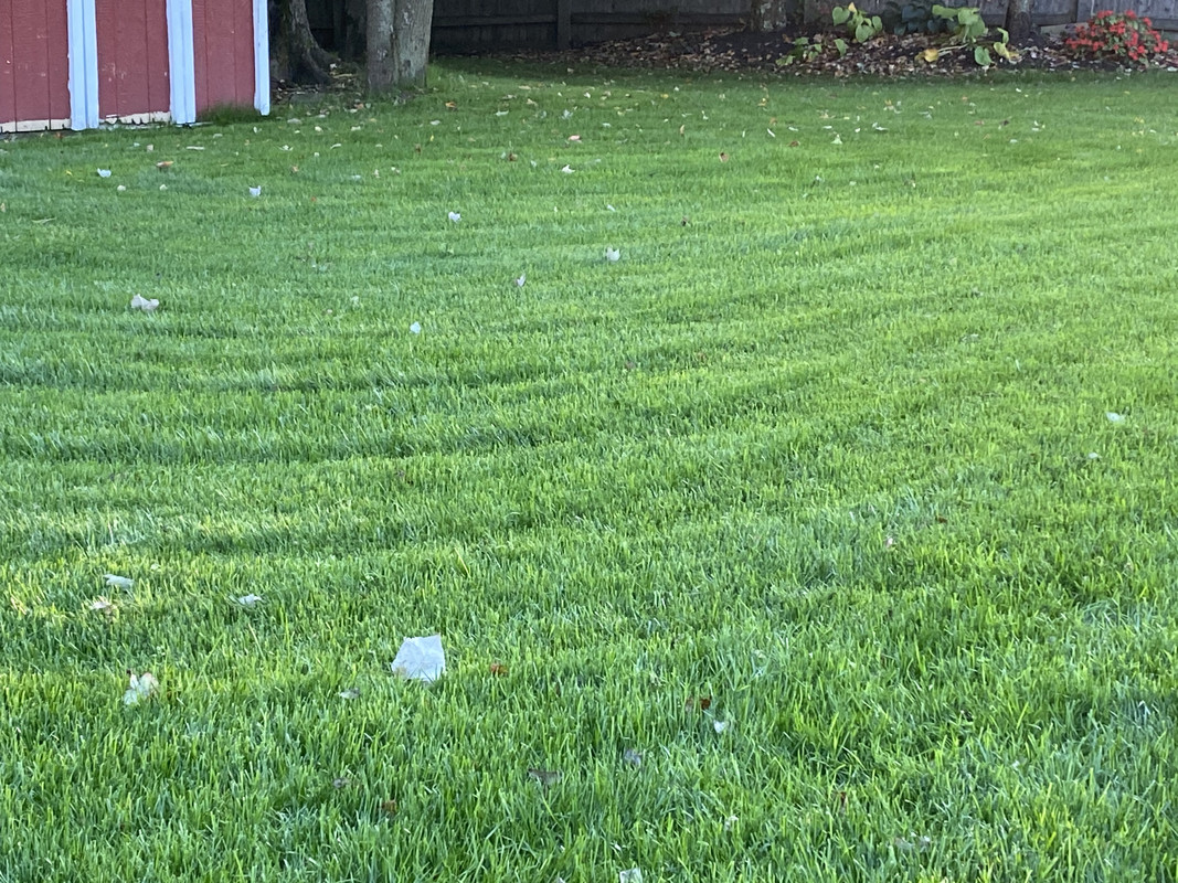 A640A92D-20D4-43BB-968F-5DF62228E49E