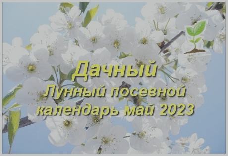 ������ ��������� ������� �� ��� 2023 ����