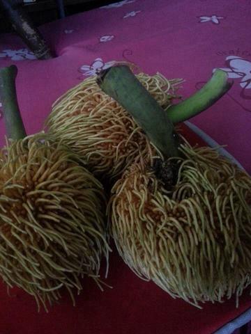 10259754_761804457173452_1733346248880699941_n