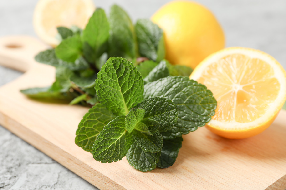 citron et menthe sur une planche en bois