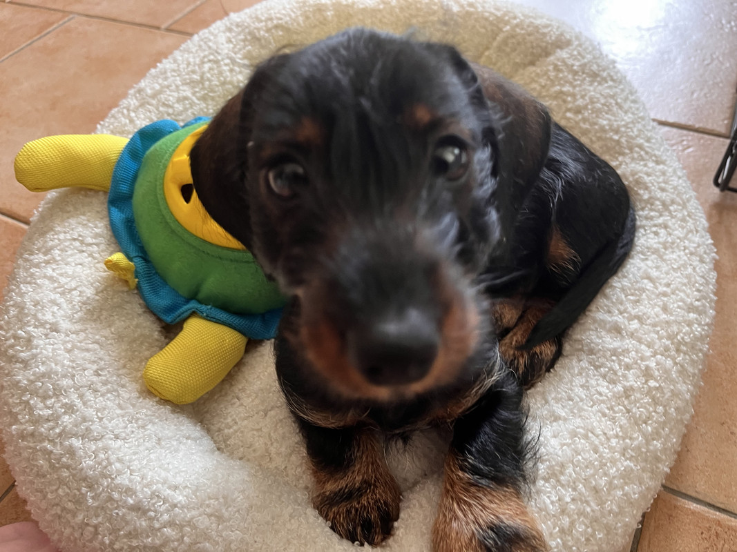 [Image: IMG-1556.jpg]