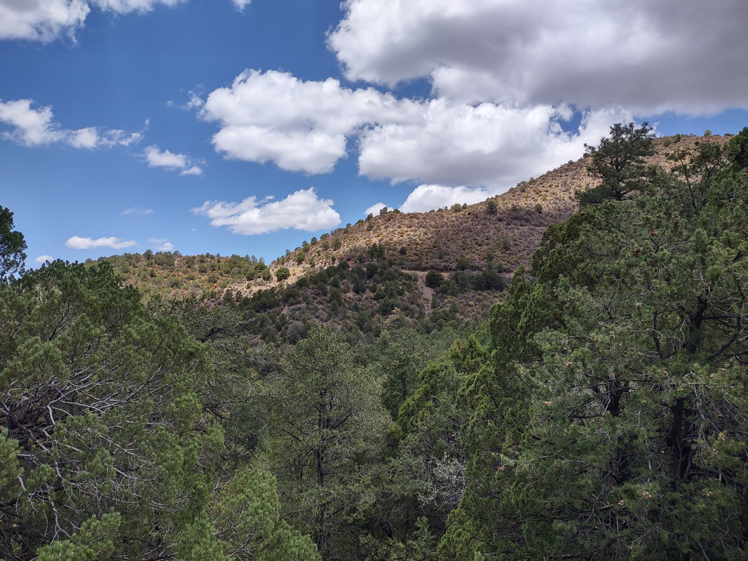 IMG_20250704_121911060_HDR