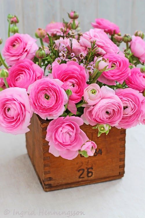 flowerspinkrosesbox.jpg