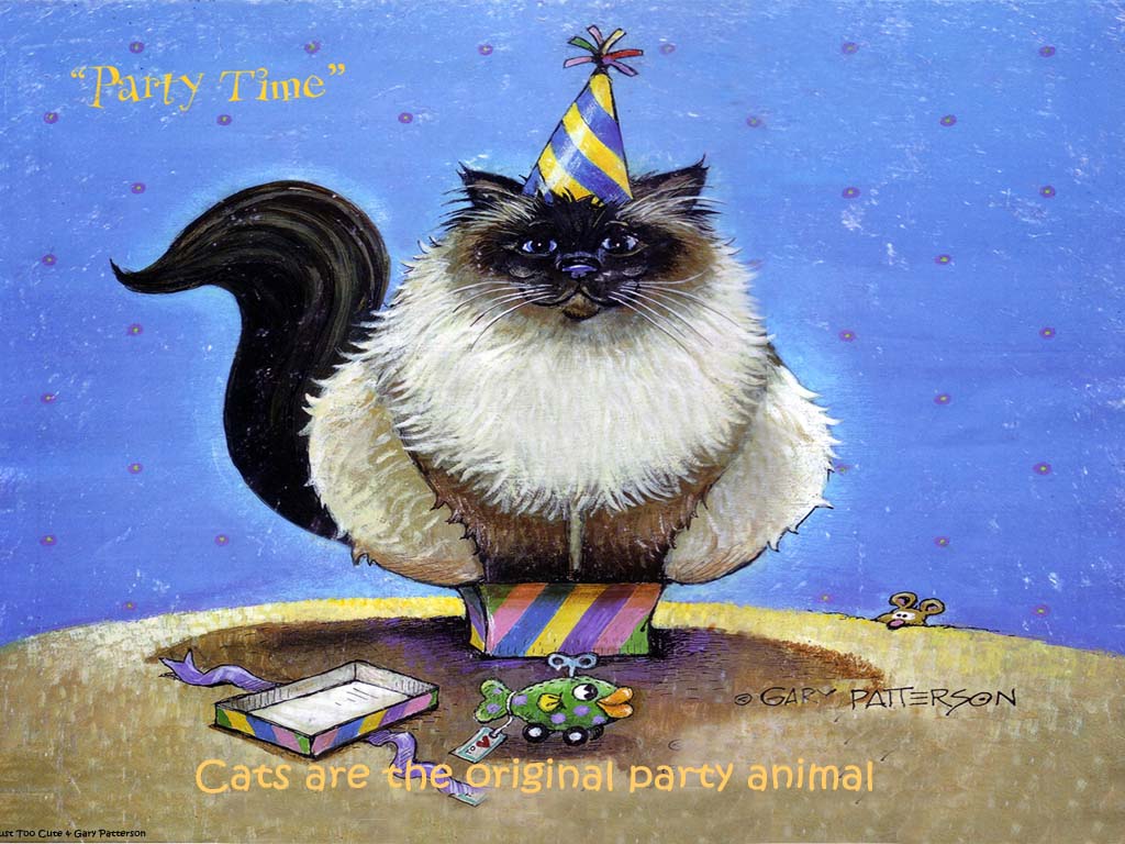 17-Party-Time-1024x768