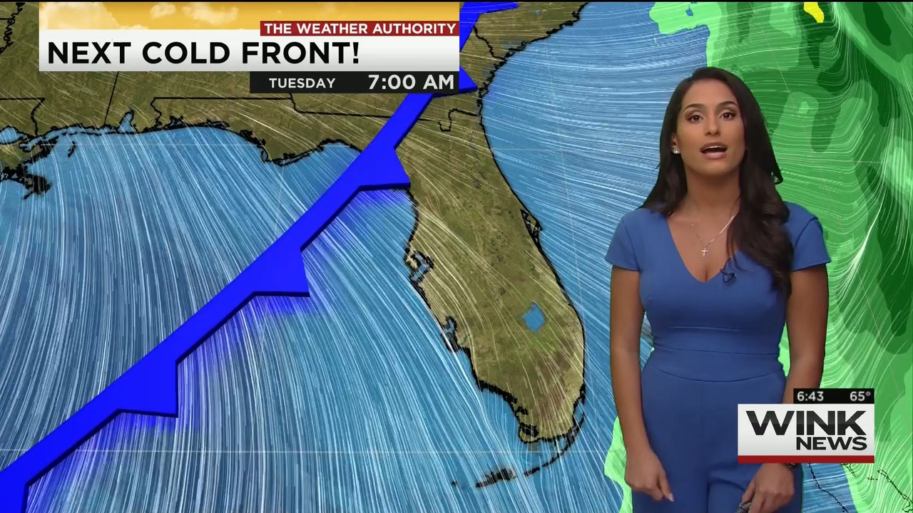 11.28 - 11.00.00 - WINK News This Morning..ts_snapshot_43.47.021