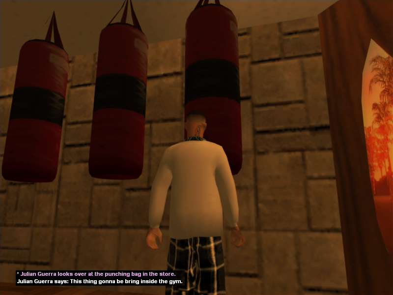 SS28.png