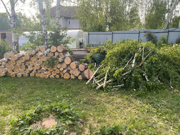 lesorez.ru