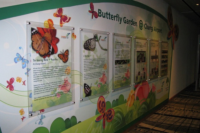 Butterfly Garden.