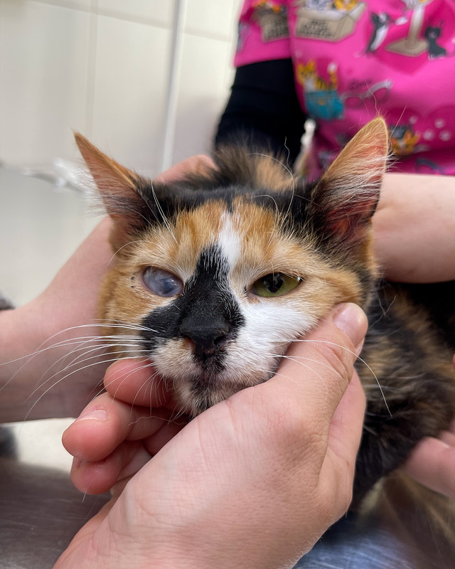 7B69B356-47BE-40E3-9BAB-B050F7B18A53