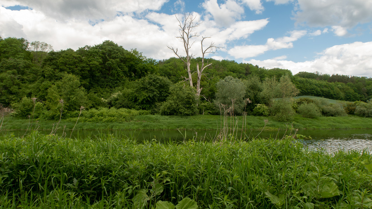 IMG-5141-Poprawione-Szum.jpg