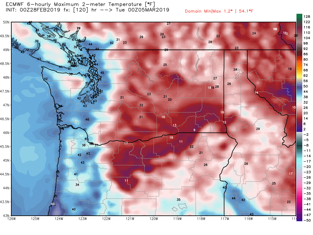 ecmwf-t2max-washington-21.png