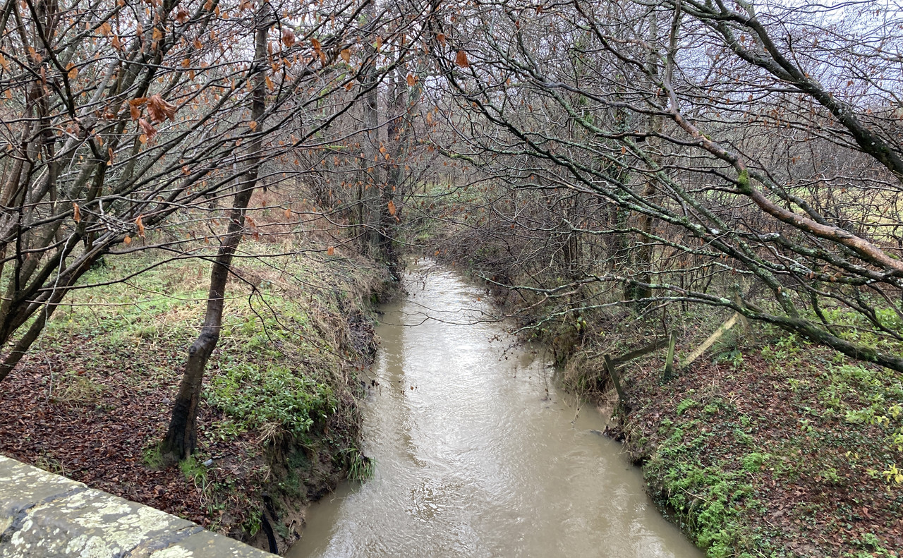 CBD5DA56-A95D-431A-BC54-35F54B5F5F34