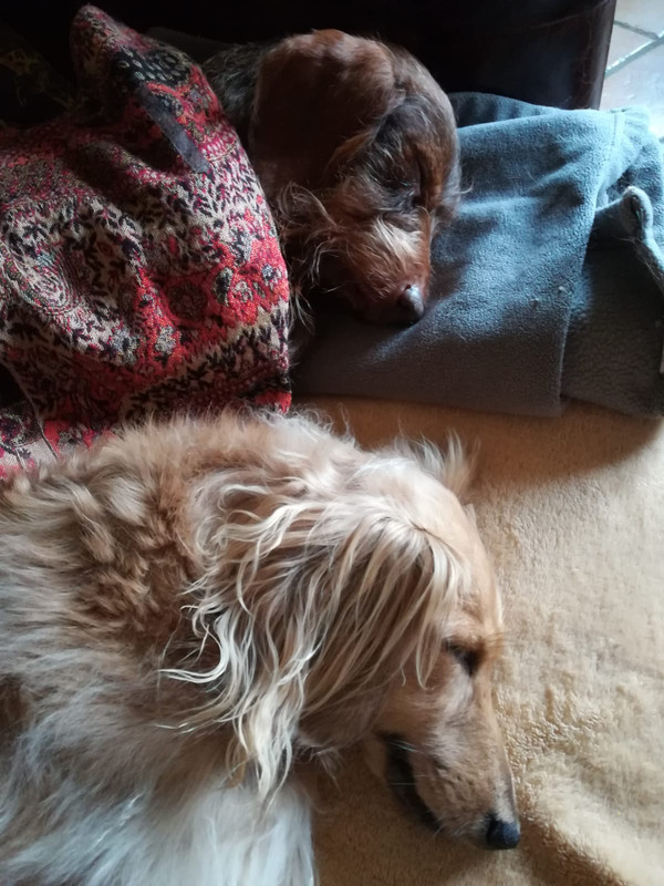 [Image: IMG-20201030-WA0000.jpg]