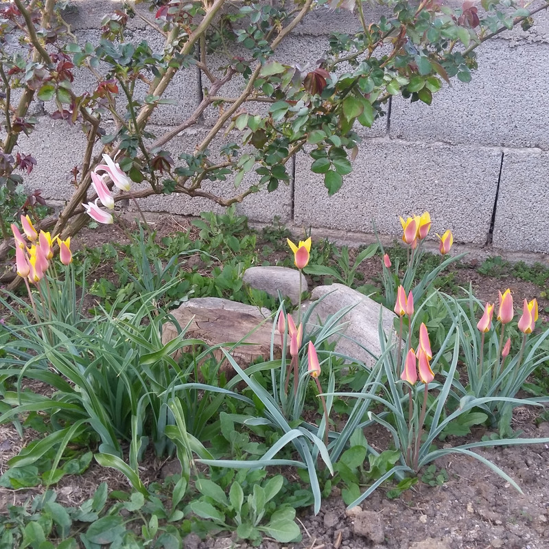 20190323_181417
