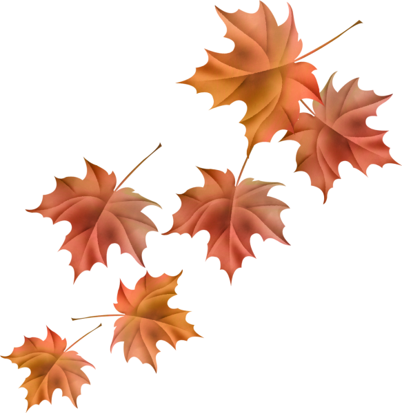 Indian Summer37