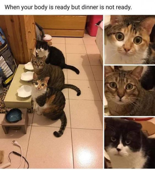thumbs-picdump895-046.jpg