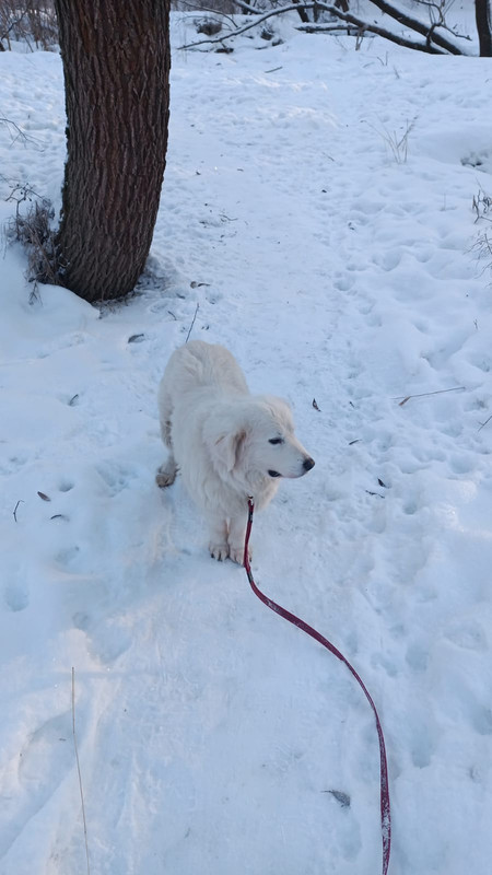 0FCD17EB-3826-4787-8889-6531C01342DD