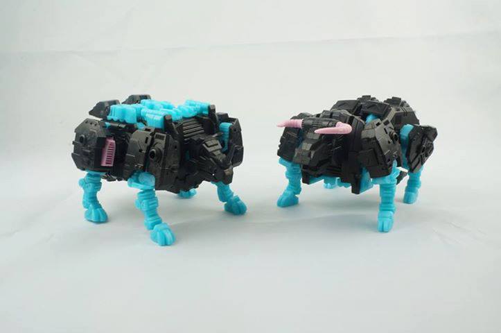 983705_621313007880595_488759303_n