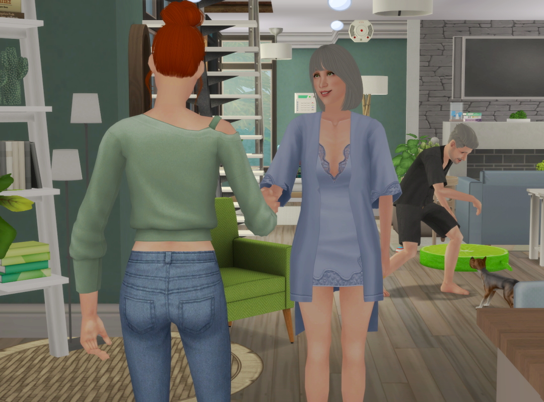 Sims2-EP9-RPC-2024-12-09-13-19-04-67
