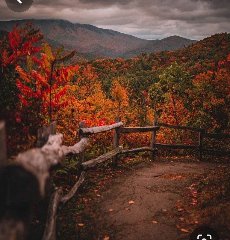 Screenshot_20240131_210235_Pinterest